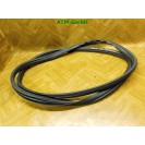 Türdichtung Dichtung vorne links Ford KA 2 II Fahrerseite