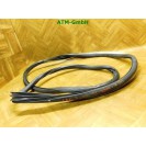 Türdichtung Dichtung vorne rechts Renault Laguna 3 III Kombi Beifahrerseite