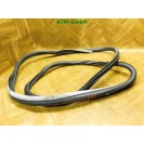 Türdichtung Dichtung vorne rechts Renault Laguna 3 III Kombi Beifahrerseite