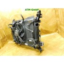 Wasserkühler Elektrolüfter Lüfter Opel Corsa D Behr GM 55701002 55701410