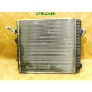 Wasserkühler Kühler Kühlerlüfter Elektrolüfter Opel Agila GM Valeo 09210556