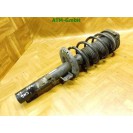 Federbein Pralldämpfer Stoßdämpfer vorne links VW Polo 9N3 6Q0413031CD