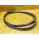 Dichtung vorne links Türdichtung Ford Fiesta 6 VI 3 türig Fahrerseite