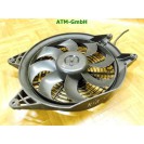 Elektrolüfter Lüfter Kühlerlüfter Kia Carnival 12v DongYang 8K1A