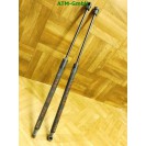 Gasdruck Heckklappendämpfer x 2 Stück hinten Skoda Fabia 2 II 5J6827550B