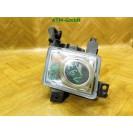 Nebelscheinwerfer Nebelleuchte NSW NSL links Opel Signum Fahrerseite 13123958