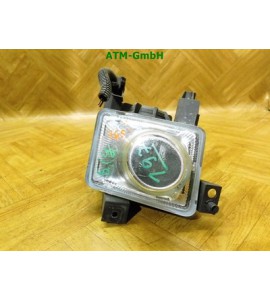 Nebelscheinwerfer Nebelleuchte NSW NSL links Opel Signum Fahrerseite 13123958