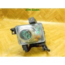 Nebelscheinwerfer Nebelleuchte NSW NSL links Opel Signum Fahrerseite 13123958