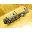 Federbein Pralldämpfer Stoßdämpfer vorne Citroen C4