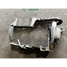 Wasserkühler Kühlerlüfter Opel Corsa C Behr 13208240 GM 13100381