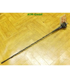 Antenne KFZ Fahrzeugantenne Nissan Pixo 5 türig