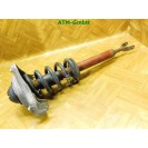 Federbein Pralldämpfer Stoßdämpfer vorne Audi A6