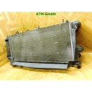 Wasserkühler Elektrolüfter Kühlerlüfter Fiat Doblo 820601500 B837 841961200