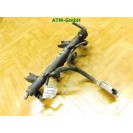 Einspritzleiste Einspritzdüse Citroen C2 9655833580