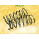 Feder Federn x 2 Stück hinten Hyundai Atos