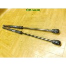 Heckklappendämpfer hinten x 2 Stück Mercedes Benz A-Klasse W169 A1697400345