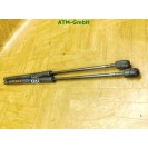 Heckklappendämpfer hinten x 2 Stück Mercedes Benz A-Klasse W169 A1697400345