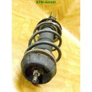 Federbein Pralldämpfer Stoßdämpfer vorne links Suzuki Swift 4 IV Fahrerseite