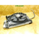 Wasserkühler Kühlerlüfter Elektrolüfter Lüfter Renault Clio 2 II 7700428659J