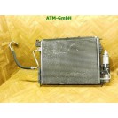 Wasserkühler Kühlerlüfter Elektrolüfter Lüfter Renault Clio 2 II 7700428659J