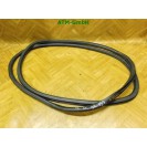 Dichtung vorne links Türdichtung VW Polo 9N 3 türig Fahrerseite