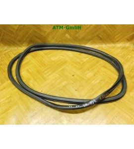 Dichtung vorne links Türdichtung VW Polo 9N 3 türig Fahrerseite