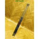 Gasdruck Gasdämpfer x 2 Stück hinten Heckklappendämpfer Fiat Panda 46827091