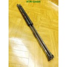 Gasdruck Gasdämpfer x 2 Stück hinten Heckklappendämpfer Fiat Panda 46827091