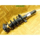 Federbein Pralldämpfer Stoßdämpfer vorne rechts VW Käfer Beetle 5C1 5C0413031CS