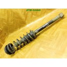 Federbein Pralldämpfer Stoßdämpfer hinten Ford Streetka