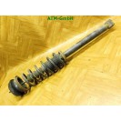 Federbein Pralldämpfer Stoßdämpfer hinten Ford Streetka