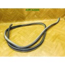 Türdichtung Dichtung vorne links Toyota Yaris 2 II 5 türig Fahrerseite