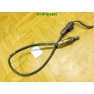 Lambda Lambdasonde VW Golf 6 VI Plus 03F906262B 12v