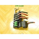 Sicherungskasten VW Golf 4 IV