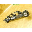 Einspritzleiste Einspritzdüse Smart 450 city-coupe A1600700295 0003096V005