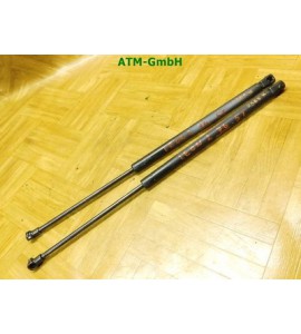 Gasdruck Gasdämpfer Heckklappendämpfer x 2 Stück hinten Seat Leon 2 II 5 türig