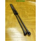 Gasdruck Gasdämpfer Heckklappendämpfer x 2 Stück hinten Seat Leon 2 II 5 türig