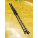 Gasdruck Gasdämpfer Heckklappendämpfer x 2 Stück hinten Seat Leon 2 II 5 türig