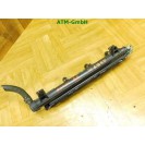 Einspritzleiste Einspritzdüse Skoda Roomster 036133320