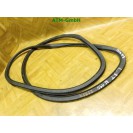 Türdichtung Dichtung vorne links VW Polo 9N 5 türig Fahrerseite 6Q4067911