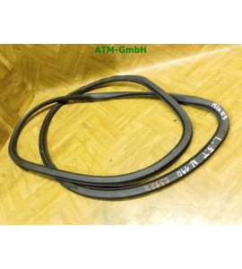 Türdichtung Dichtung vorne links VW Polo 9N 5 türig Fahrerseite 6Q4067911