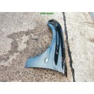 Kotflügel links Peugeot 206 Farbcode EXL Schwarz Obsidien Metallic Fahrerseite