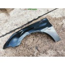 Kotflügel links Peugeot 206 Farbcode EXL Schwarz Obsidien Metallic Fahrerseite