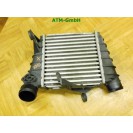 Ladeluftkühler Intercooler VW Polo 9N3 880648M 6Q0145804G