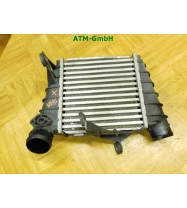 Ladeluftkühler Intercooler VW Polo 9N3 880648M 6Q0145804G