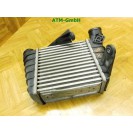 Ladeluftkühler Intercooler VW Polo 9N3 880648M 6Q0145804G