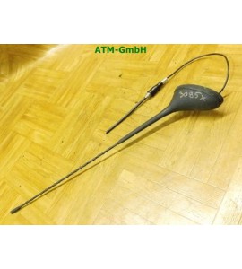 Antenne KFZ Fahrzeugantenne Citroen C3 I 5 türig 9656073380