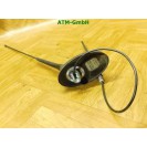 Antenne KFZ Fahrzeugantenne Citroen C3 I 5 türig 9656073380