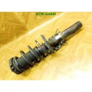 Federbein Pralldämpfer Stoßdämpfer vorne rechts VW Polo 9N3 Beifahrerseite