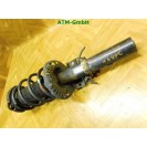 Federbein Pralldämpfer Stoßdämpfer vorne rechts VW Polo 9N3 Beifahrerseite